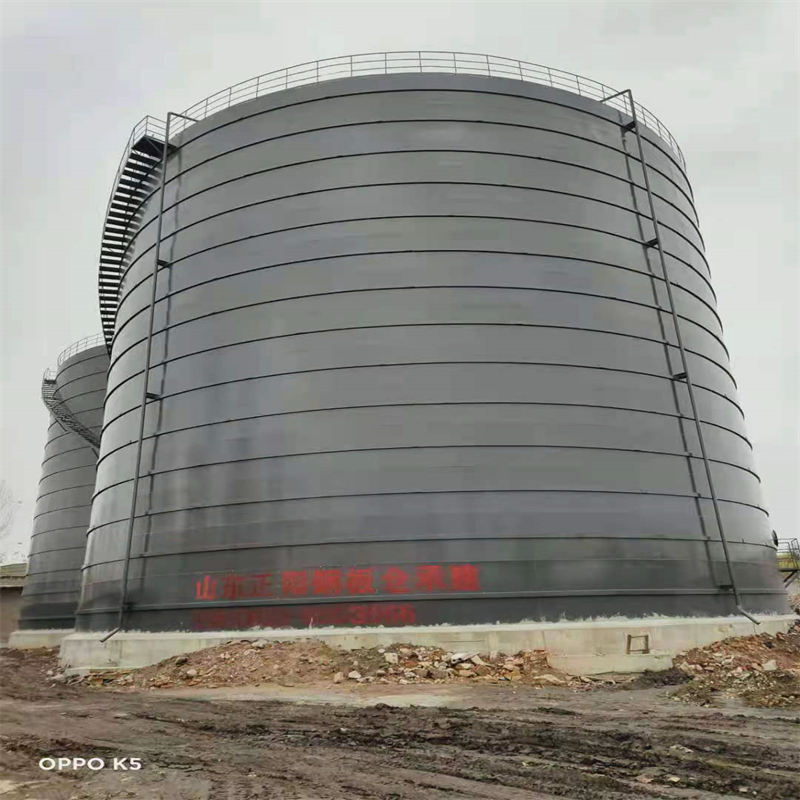 大理3万吨大型钢板库