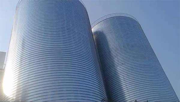 大理2座混凝土高架卷板仓